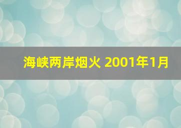 海峡两岸烟火 2001年1月